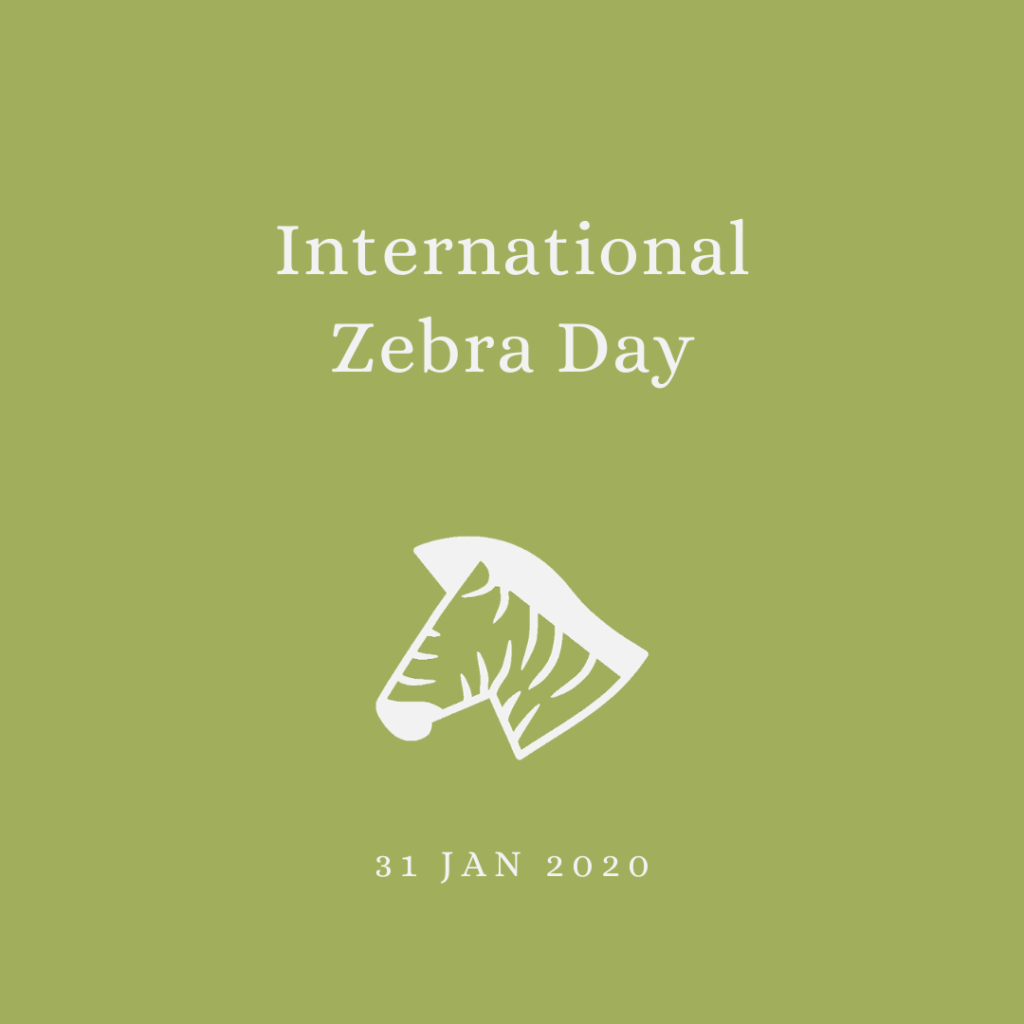 2020 [01] International Zebra Day
