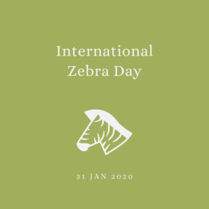 2020 [01] International Zebra Day