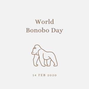 2020 [02] World Bonobo Day