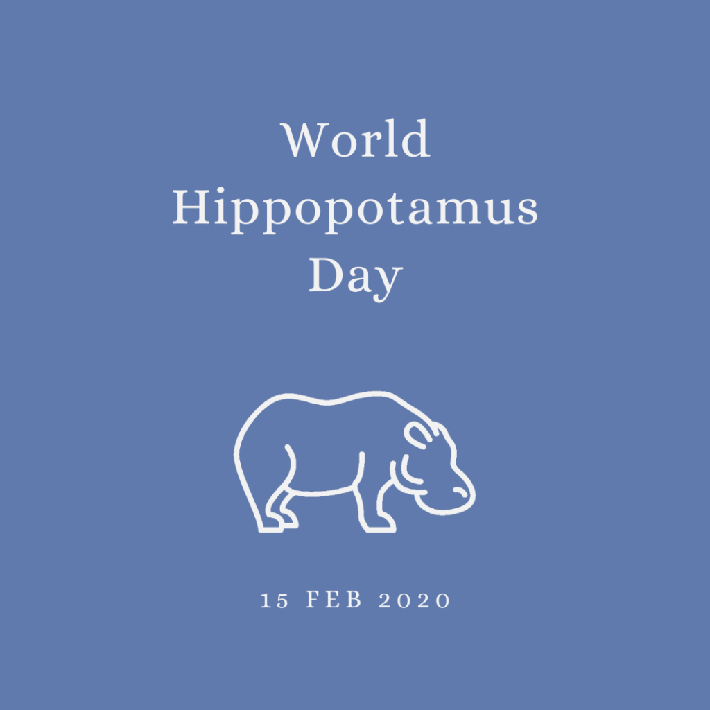 2020 [02] World Hippopotamus Day