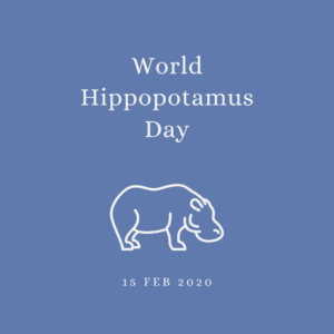 2020 [02] World Hippopotamus Day