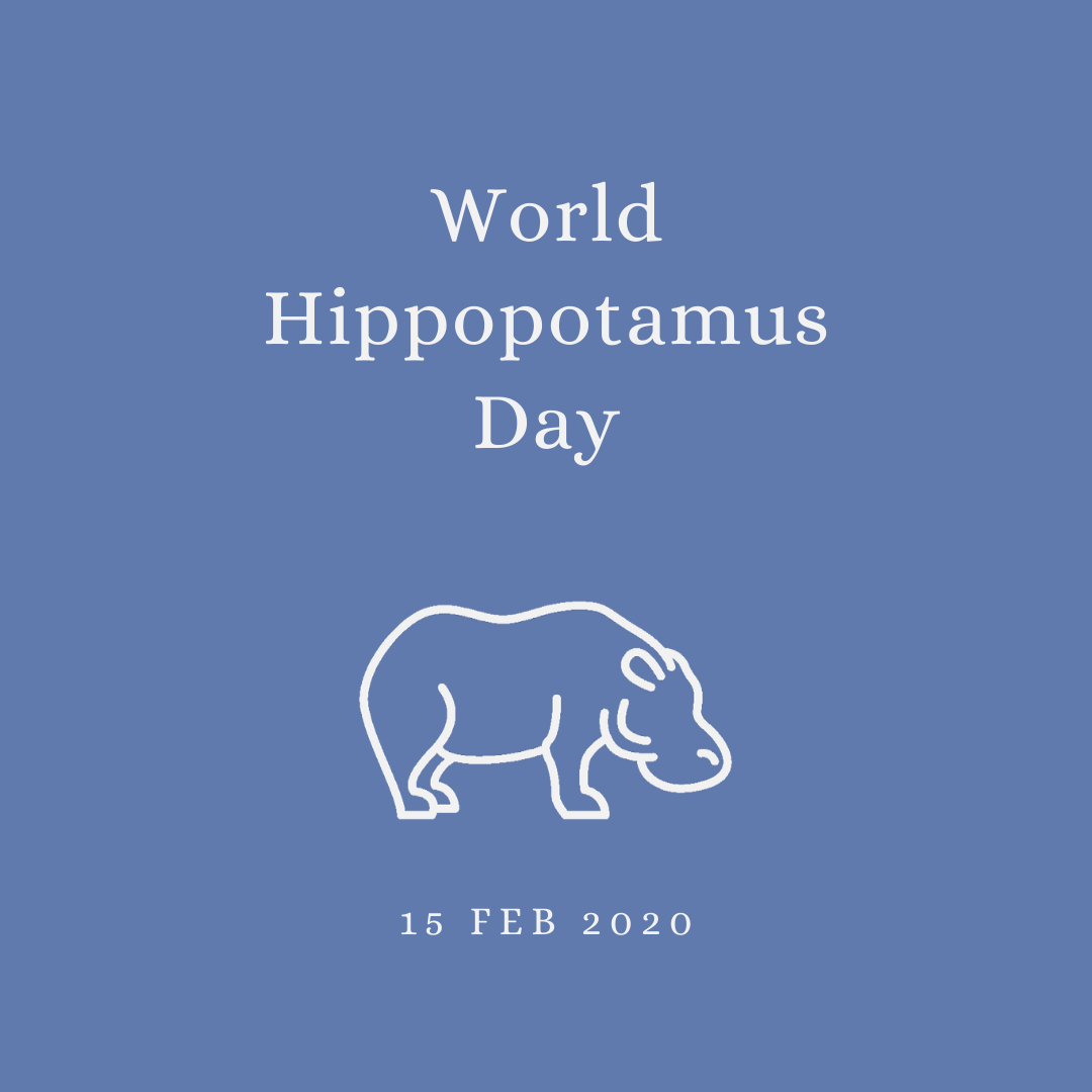 2020 [02] World Hippopotamus Day