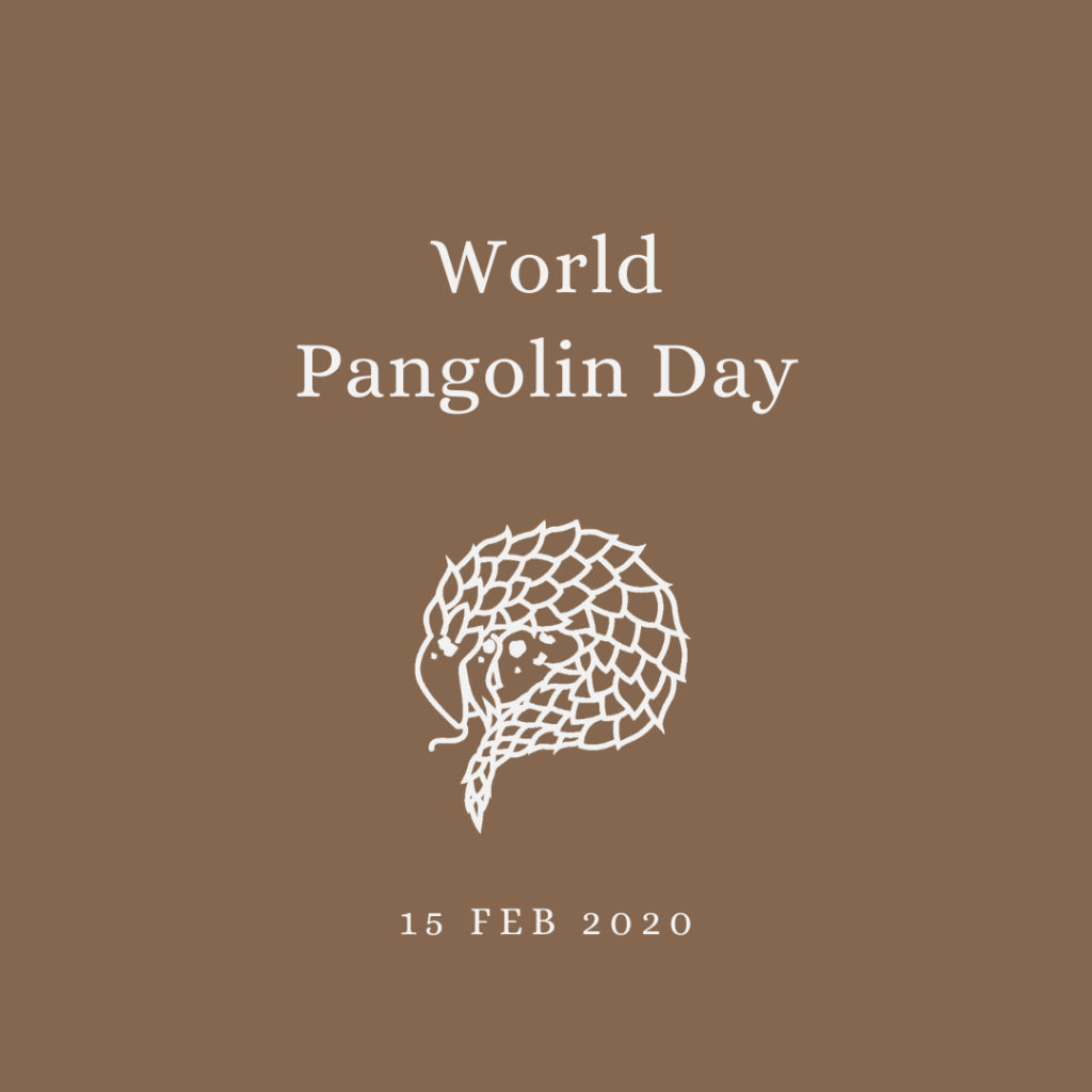 2020 [02] World Pangolin Day