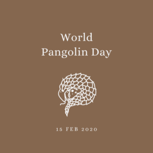 2020 [02] World Pangolin Day