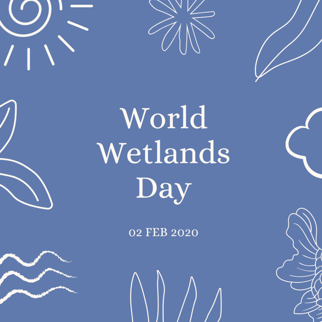 2020 [02] World Wetlands Day