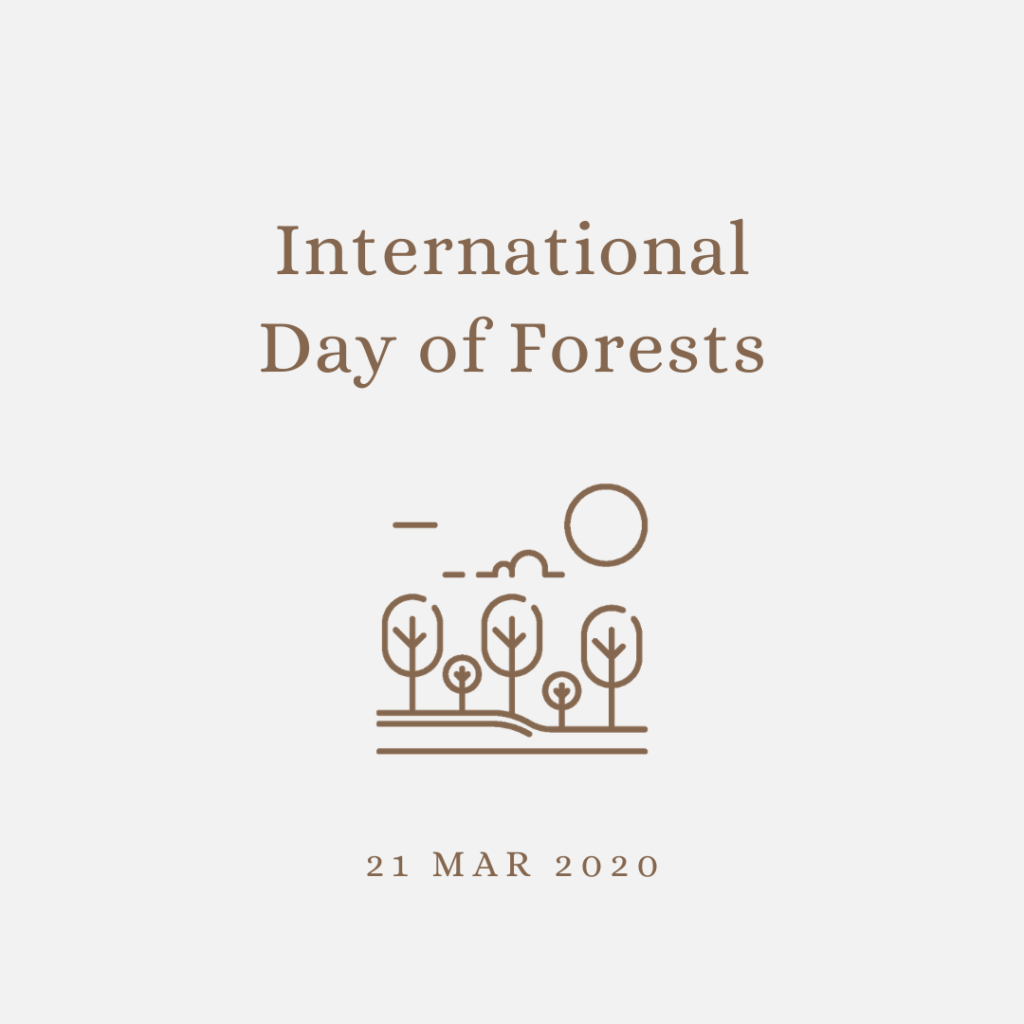 2020 [03] International Day of Forests
