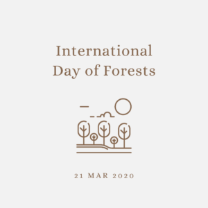 2020 [03] International Day of Forests
