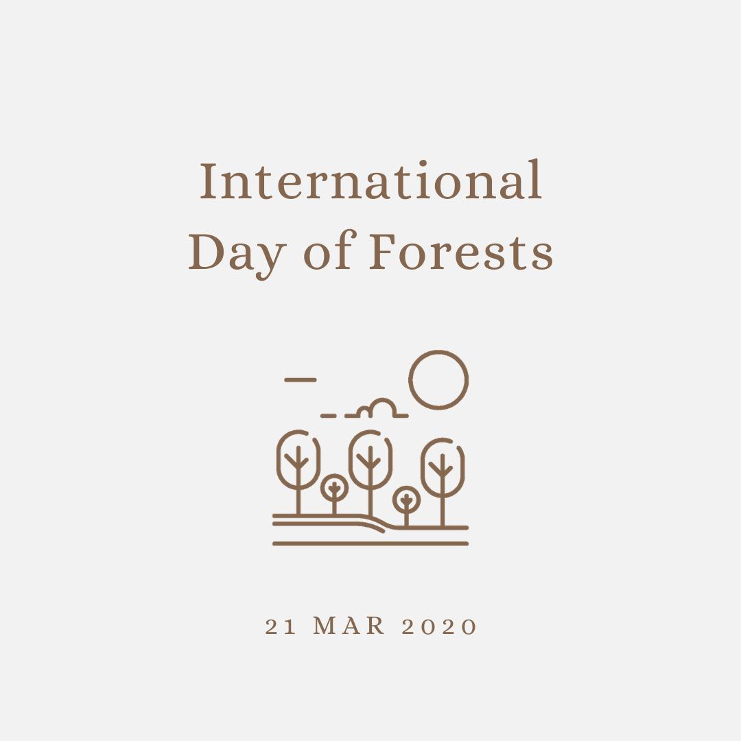 2020 [03] International Day of Forests