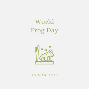 2020 [03] World Frog Day