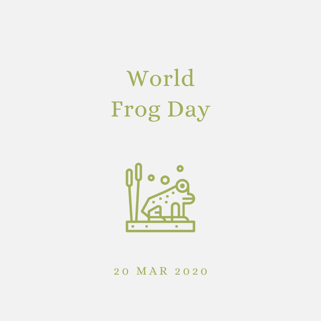 2020 [03] World Frog Day