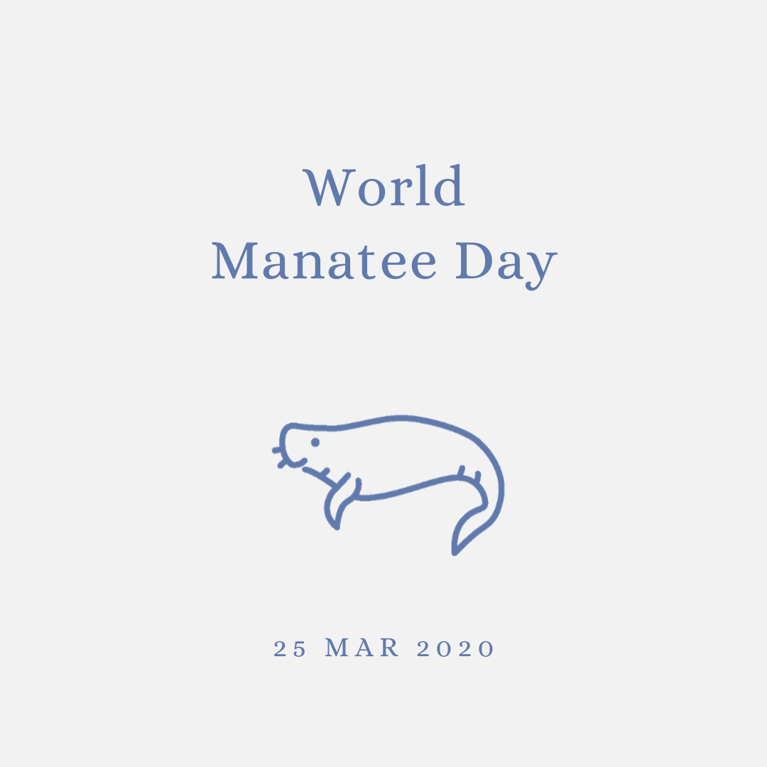 2020 [03] World Manatee Day
