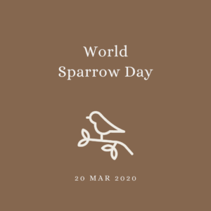 2020 [03] World Sparrow Day