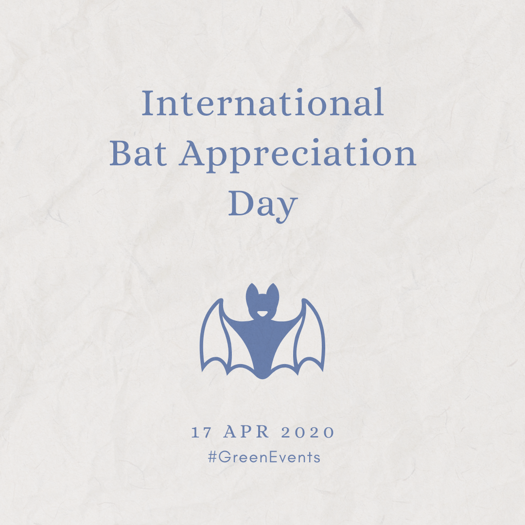 2020 [04] International Bat Appreciation Day