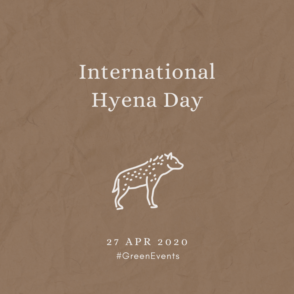 2020 [04] International Hyena Day