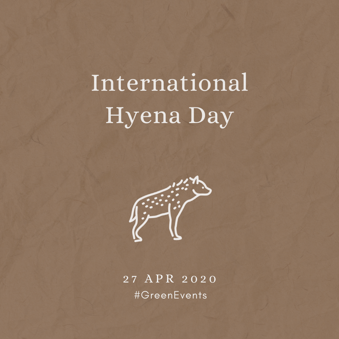 2020 [04] International Hyena Day