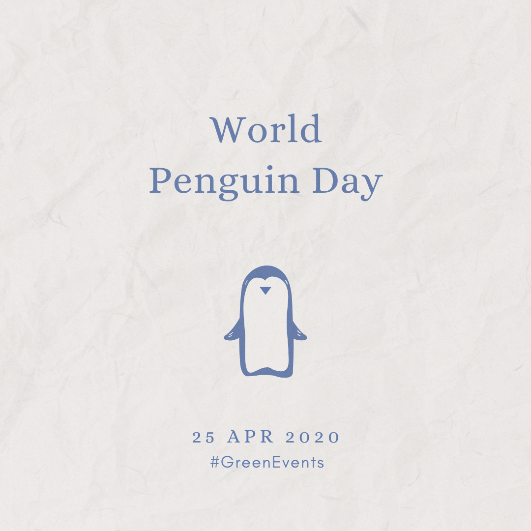 2020 [04] World Penguin Day