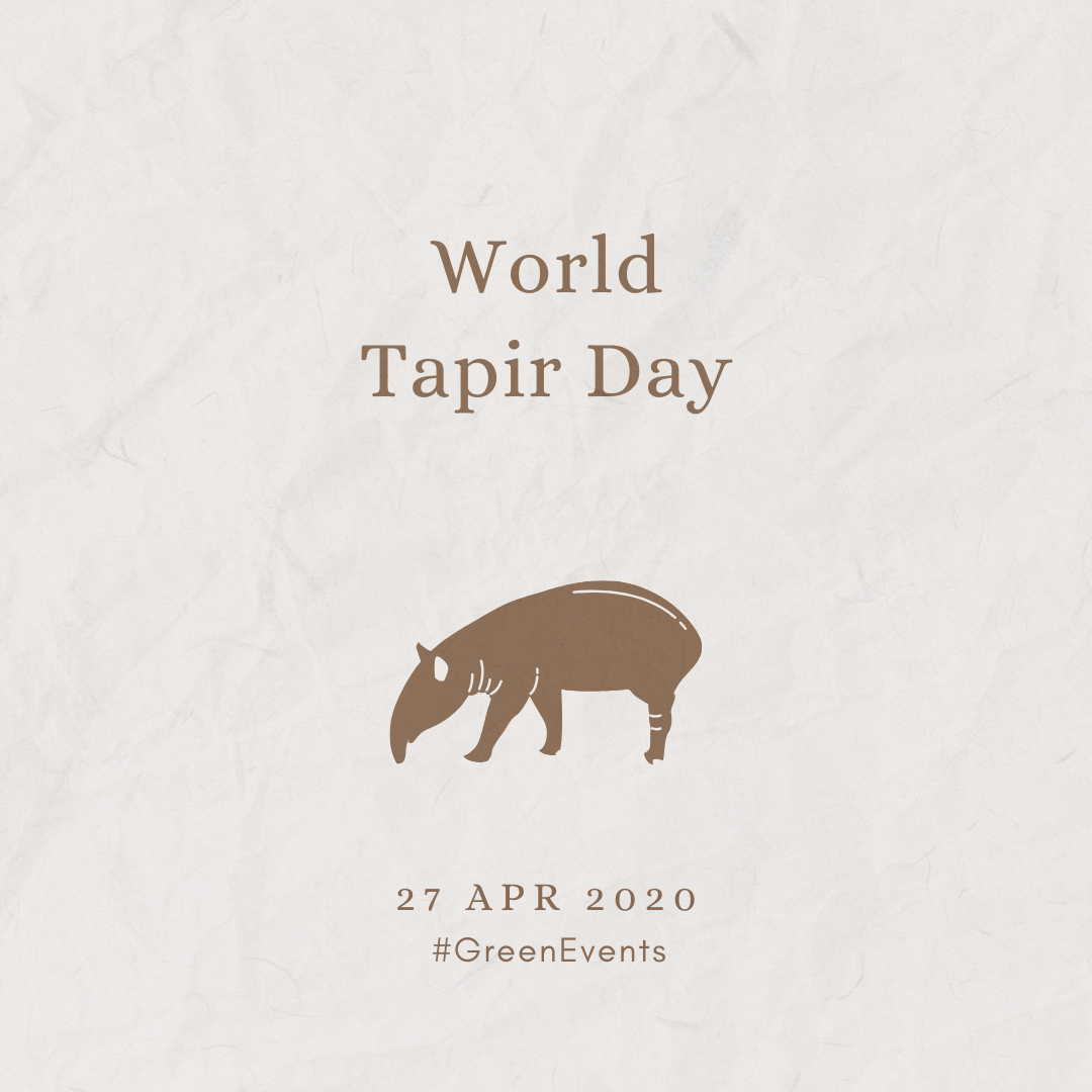 2020 [04] World Tapir Day